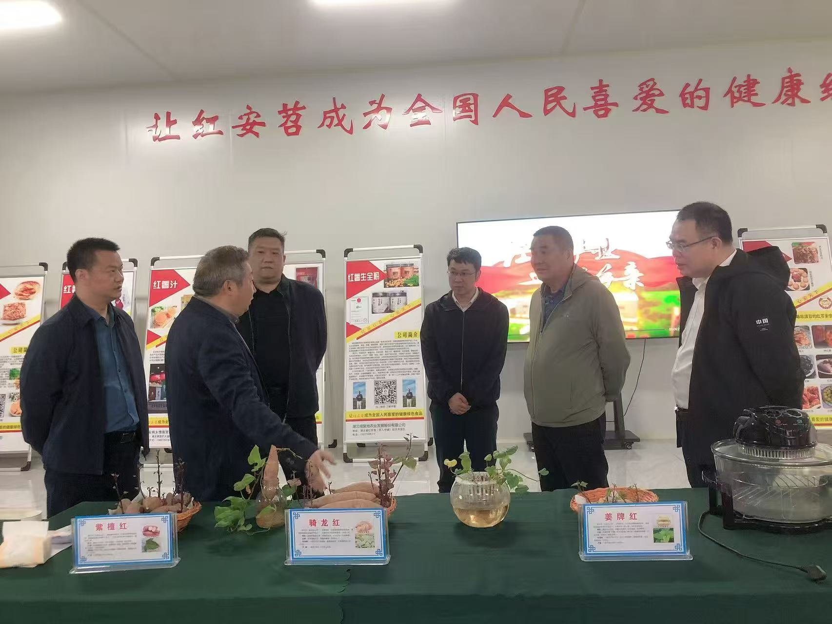 湖北省科學(xué)技術(shù)協(xié)會 驅(qū)動(dòng)新材料技術(shù)推廣，服務(wù)產(chǎn)業(yè)創(chuàng)新發(fā)展